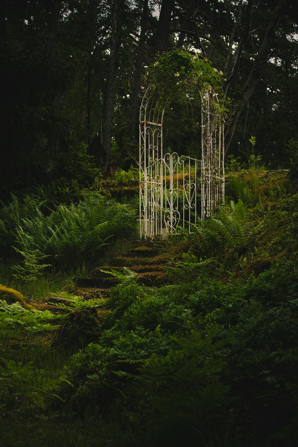 Gothic Fantasy Adventure